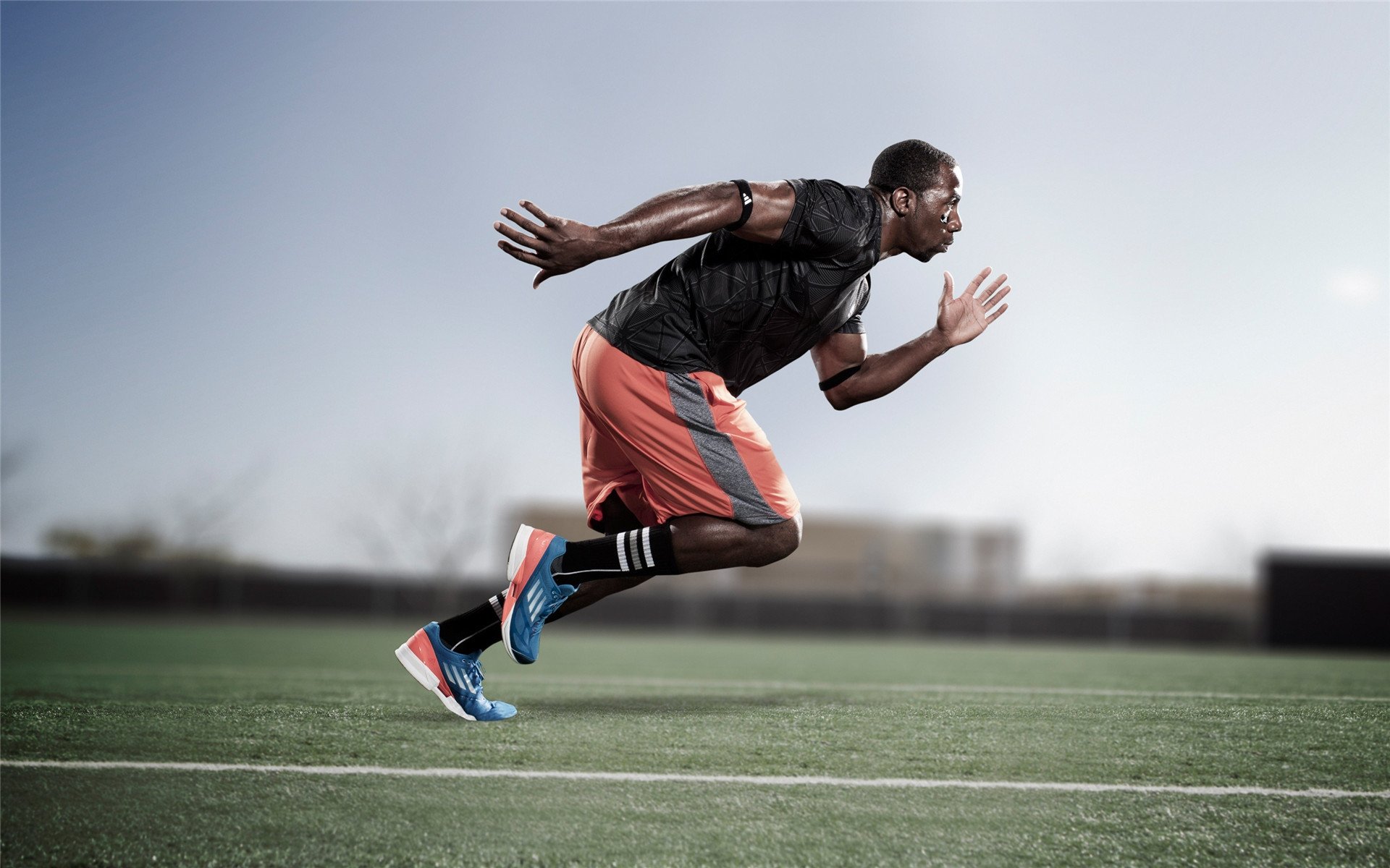 加拿大队带队取胜！，科维托娃重要时刻锐不可当观众掌声雷动